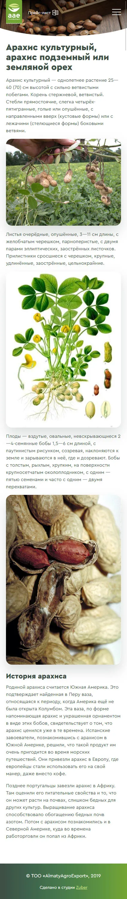 Корпоративный сайт-каталог компании «Almaty Agro Export» — скриншот 3