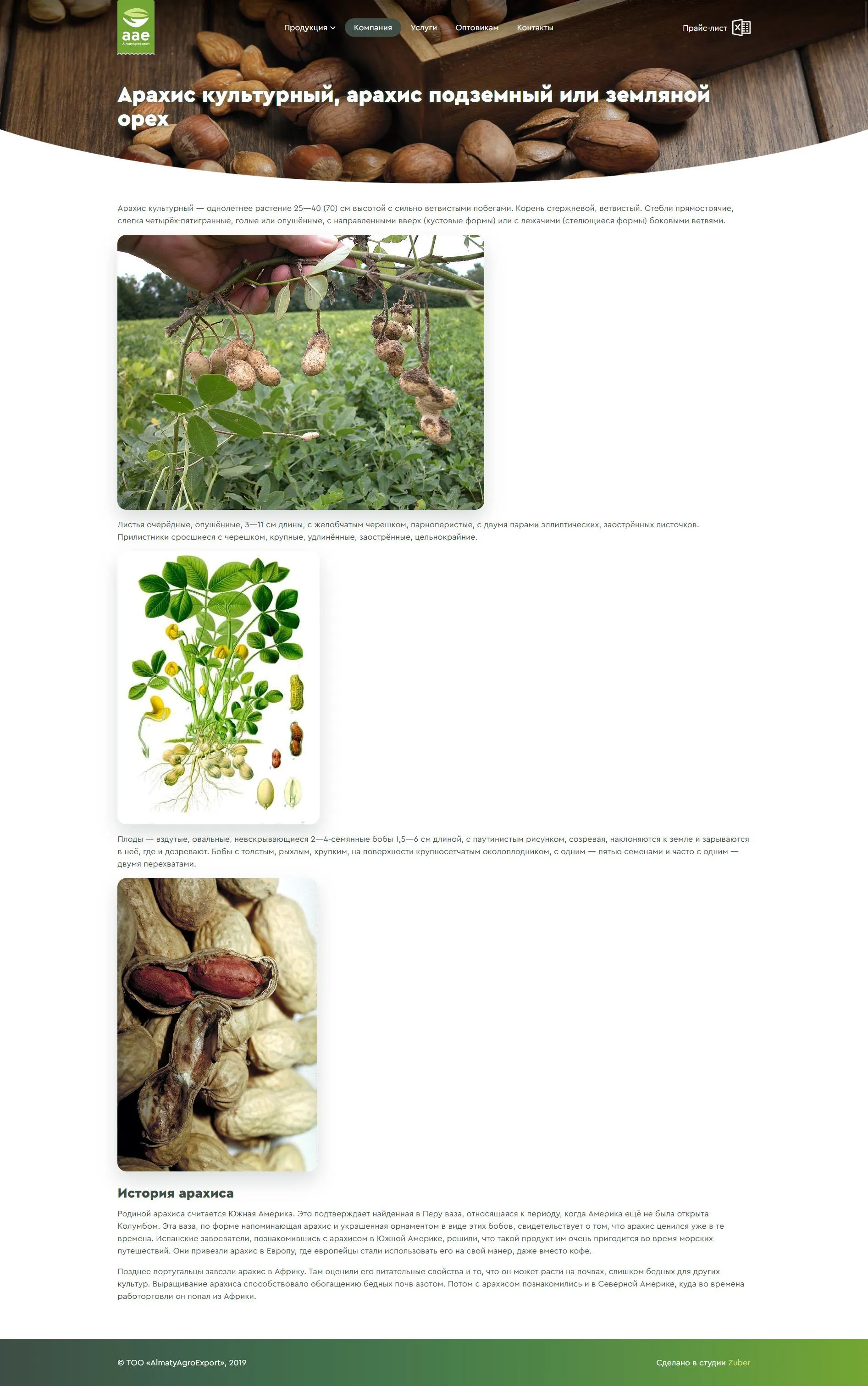 Корпоративный сайт-каталог компании «Almaty Agro Export» — скриншот 3