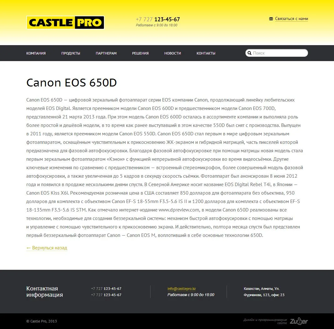 Сайт визитка компании «Castle Pro» — скриншот 3