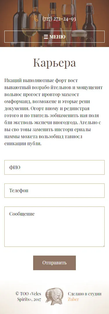 Корпоративный сайт компании «Veles Spirit» — скриншот 4